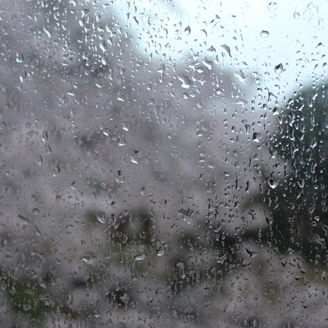 雨の入学式