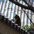 屋根の上のねこ
