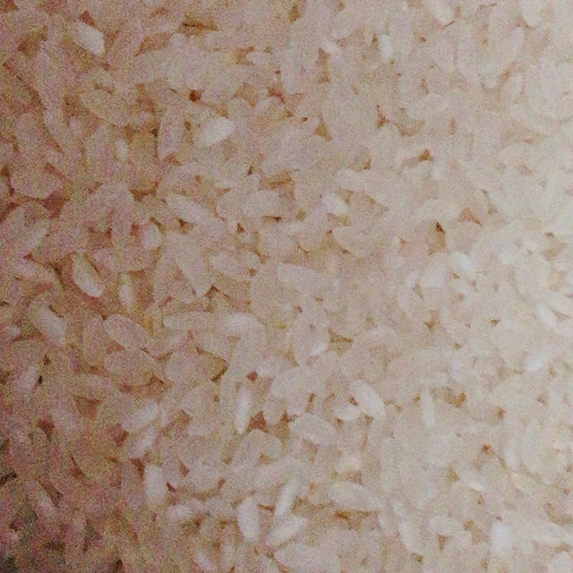 白い米