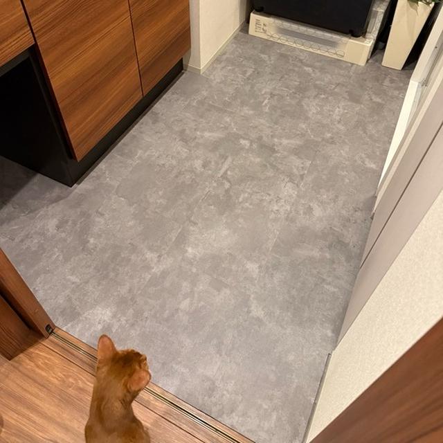 洗面室の床を張り替えた