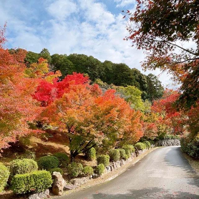 桂谷寺