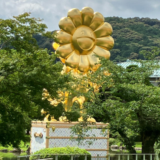 京セラ美術館だけに行く