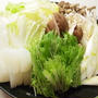 鶏の水炊き