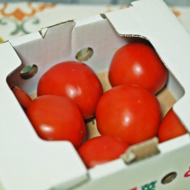 いわき市のトマトを使って「春を待つトマトソース」を作りました☆