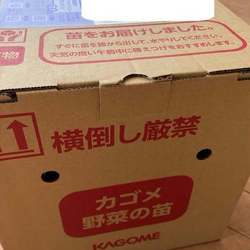 当選報告 2025年 No.３３