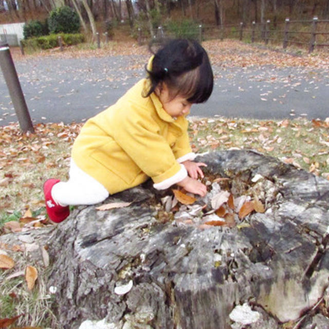 子連れ温泉旅行～山形県かみのやま温泉～