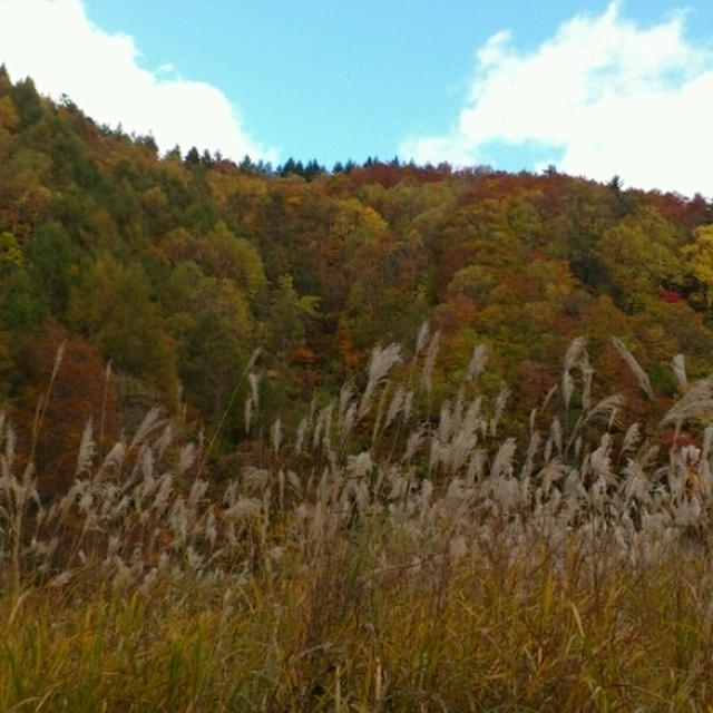 紅葉狩り