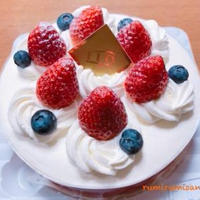 最後の投稿から一年以上たってました(￣▽￣;)
