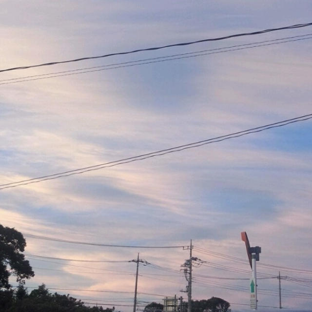 空を見上げて。。c=(｡ゝω･)ゝ