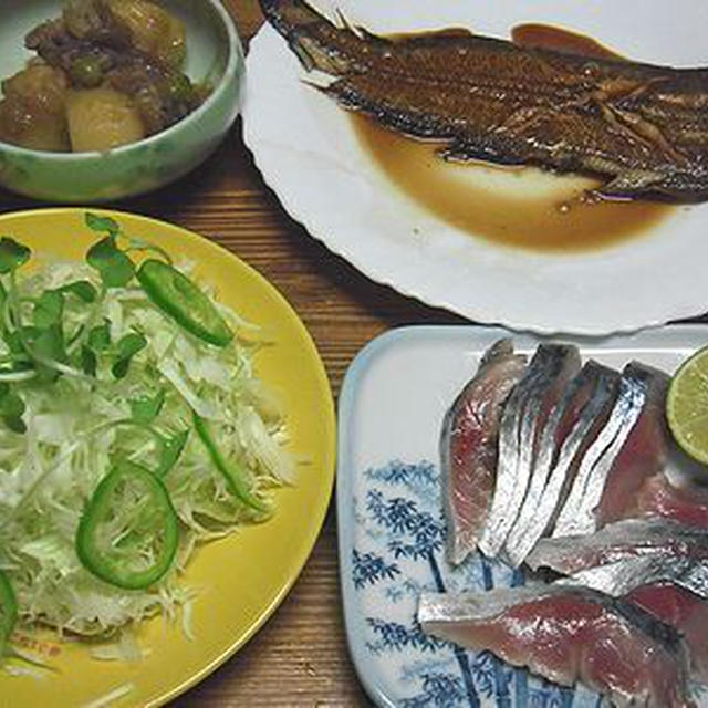 手作り〆鯖の晩ご飯。猫じゃらしで遊ぶあんこ