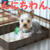 おだわらいふ♪パート１。