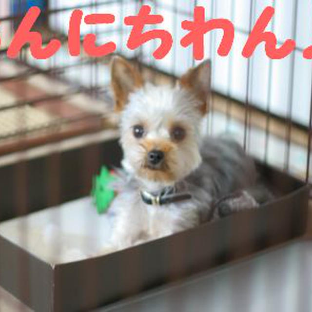おだわらいふ♪パート１。