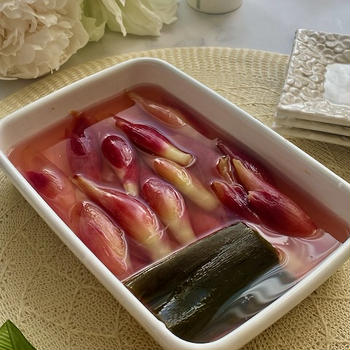 昆布だしが決め手のみょうがの甘酢漬け
