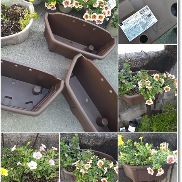 【100円ハンギングプランターで】カリブラコアと好きなのに植えてはいけない花！？鼻歌をやめない姫