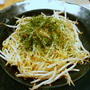 もやしと干しえびの塩焼きそば　市販のソースににんにくちょい足し