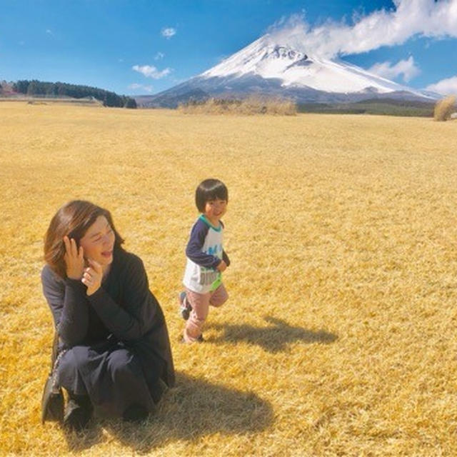 平成最後の富士山