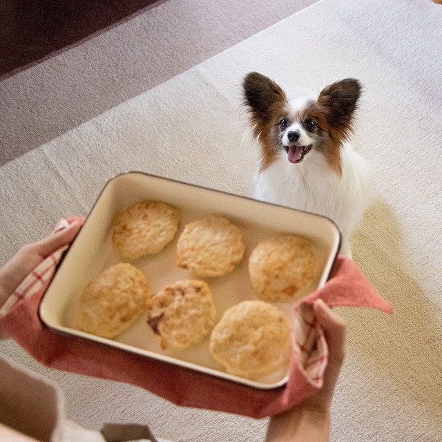 ■成型いらず♪犬用豆腐ハンバーグが簡単に作れるレシピ