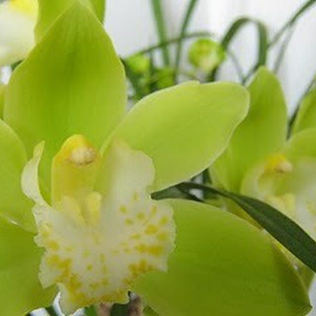 3月11日　震災直後その2