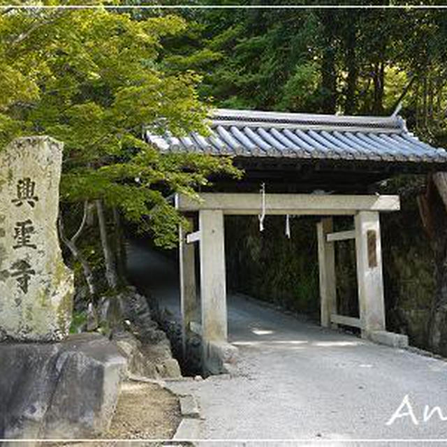 ☆2012 初秋の京都③：興聖寺☆