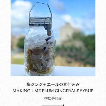 【Cooking x レシピ】梅仕事2025 梅風味のスパイスジンジャエール