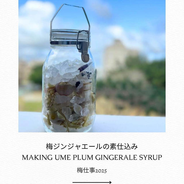【Cooking x レシピ】梅仕事2025 梅風味のスパイスジンジャエール