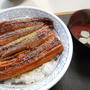 冬の鰻