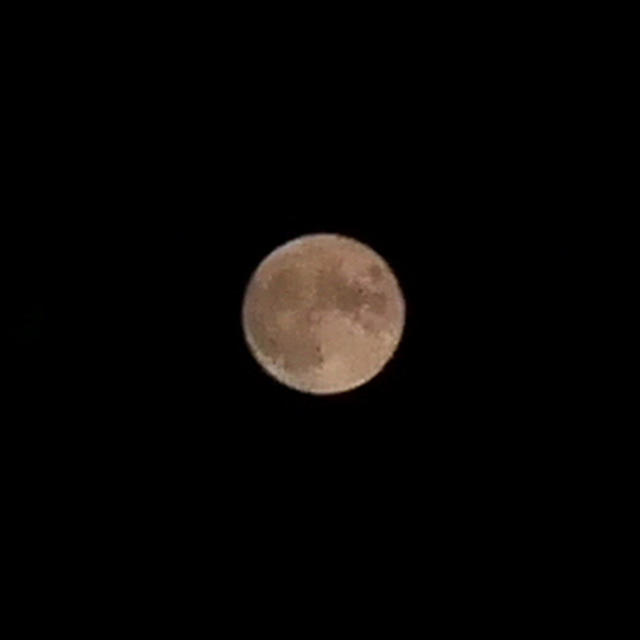 今日の月、中秋名月