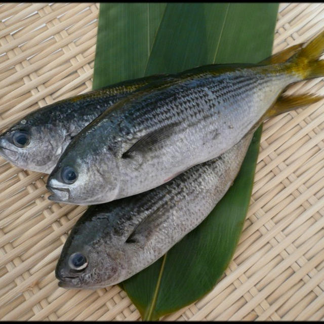 今日の魚 タカベ By Wnk Shoさん レシピブログ 料理ブログのレシピ満載