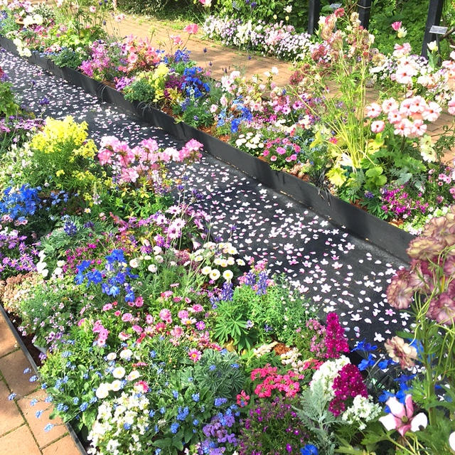 私の体に奇跡が起きました！
