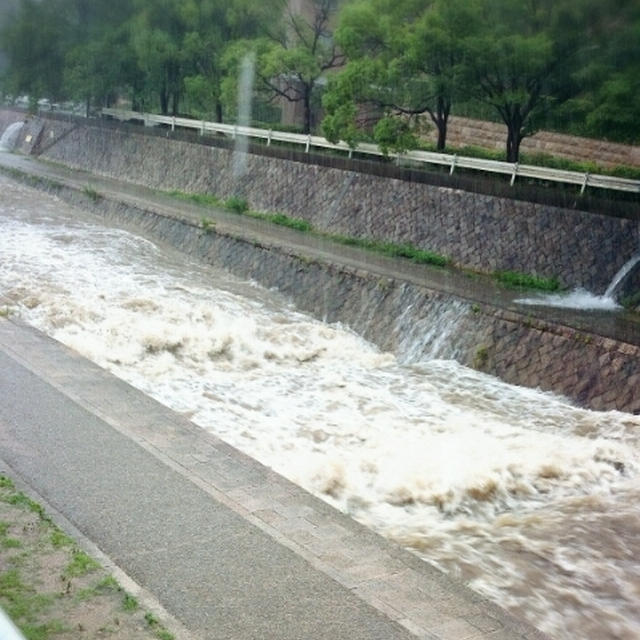台風と住吉川（○_○）