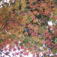 あっという間に一週間