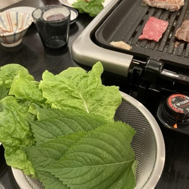 RIZINを見ながら焼き肉