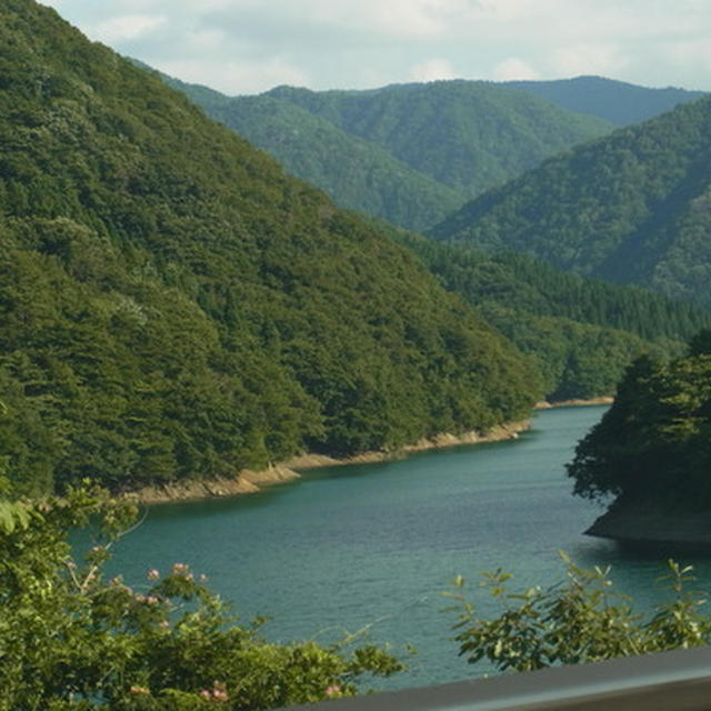 九頭竜湖ドライブと昇竜まいたけの炊き込みごはん