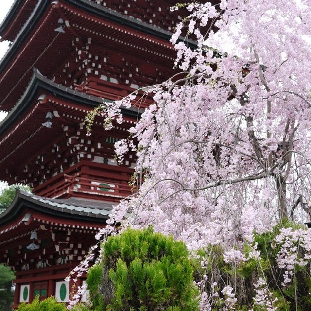 弘前の旅～最勝院五重塔～