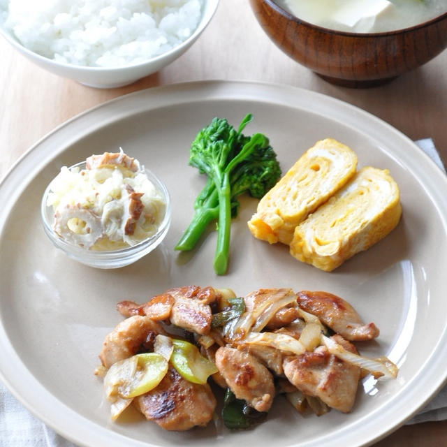 【節約献立】わが家の人気おかず！まるで焼き鳥♡”鶏ももと長ネギのオイてり焼き”献立