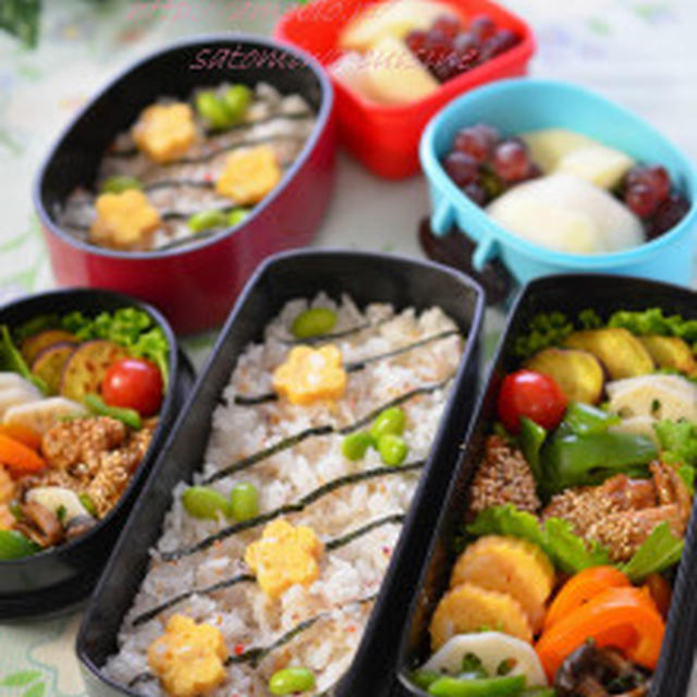 今週のお弁当✿