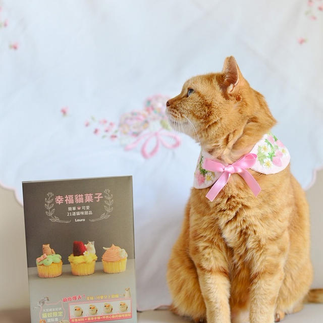 台湾版猫スイーツBOOK、キャンペーンのおしらせ