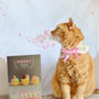 台湾版猫スイーツBOOK、キャンペーンのおしらせ