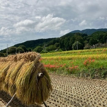 葛城古道ハイキング