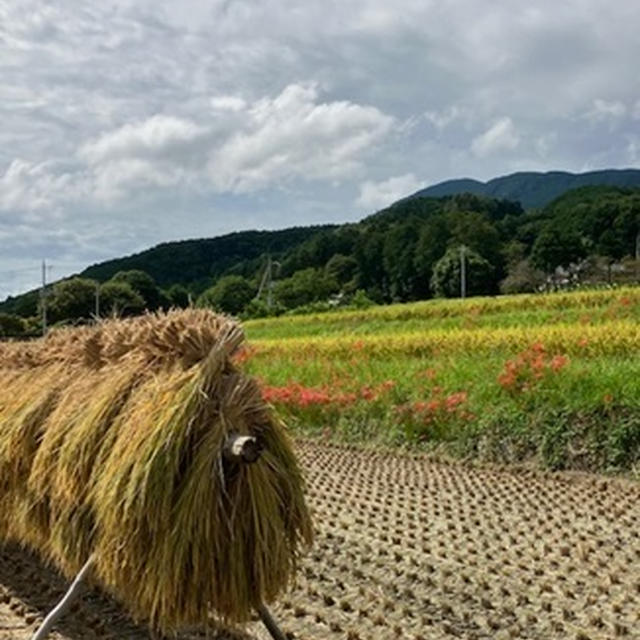 葛城古道ハイキング