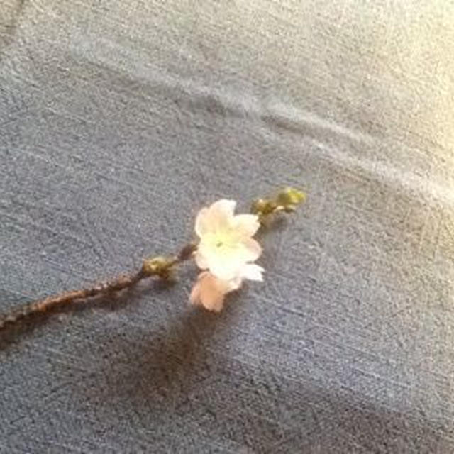 1年ありがとうございました。