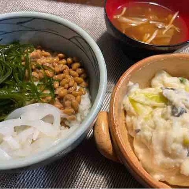 春の味覚登場❗️&鶏もも肉と白ネギのクリーム煮