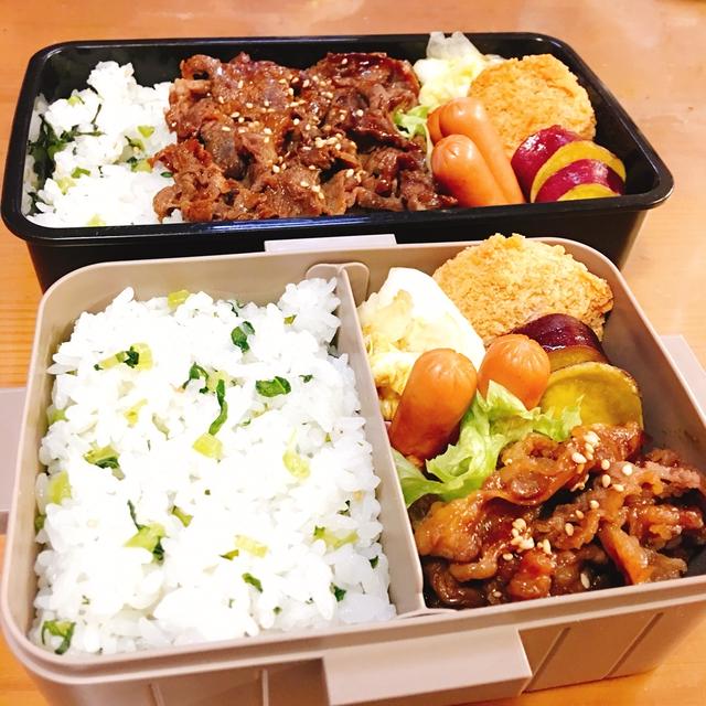 JKお弁当☆DKお弁当☆11/19 ＆ 3ステップ大根の葉炒め