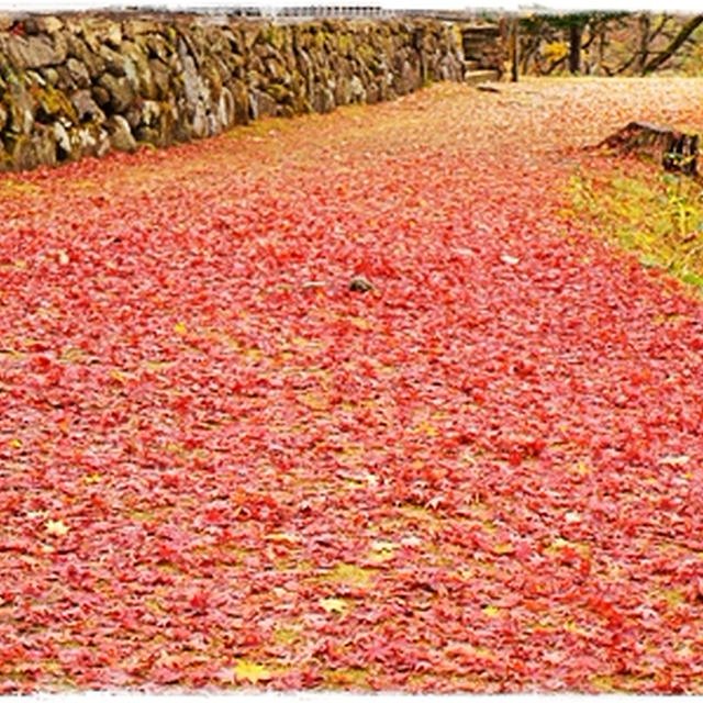 ■そうだ、会津に行こう♪ヽ(´∀｀*)ﾉ■福満虚空藏尊圓藏寺