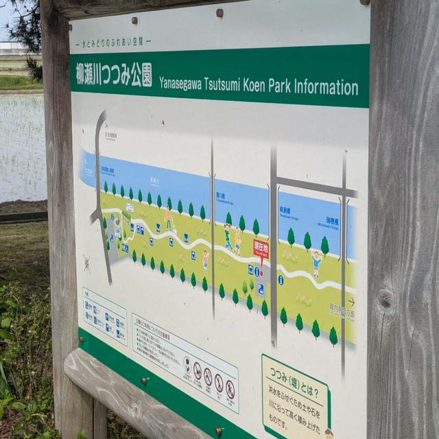 亀の聖地？