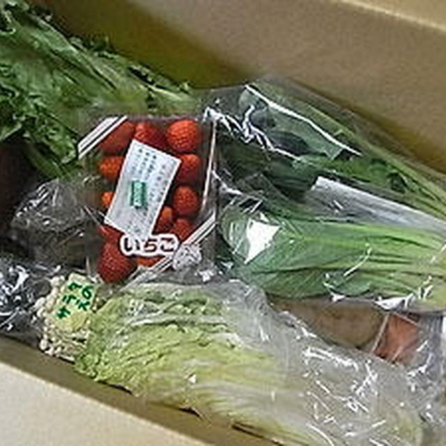 有機野菜たっぷりケークサレ