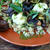 Roasted Vegetables on Quinoaキノアのローストベジのせ