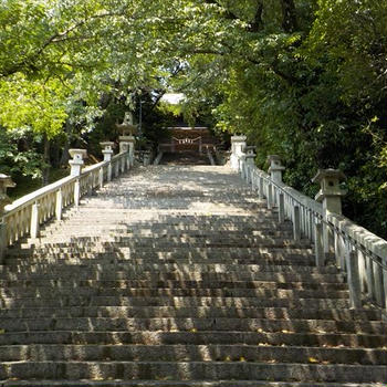花岡八幡宮・山口県下松市。木漏れ日美しく心清まる。