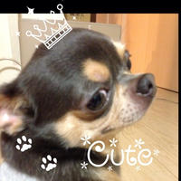 チラ見