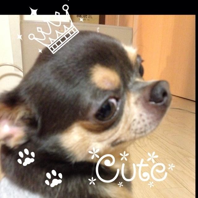 チラ見